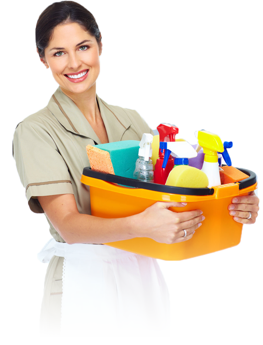 Professional Cleaning Service